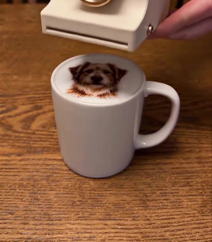Dog portrait printed on a latte